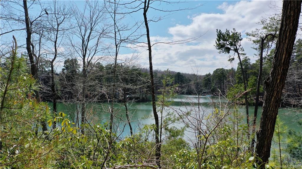 Lot 41 Peninsula Dr Mill Spring, Unit 41 Mill Spring, NC 28756 - Photo 4 of 33 a view of lake