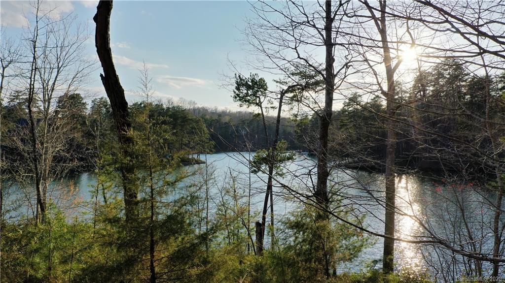 Lot 41 Peninsula Dr Mill Spring, Unit 41 Mill Spring, NC 28756 - Photo 5 of 33 a view of river covered by trees and buildings