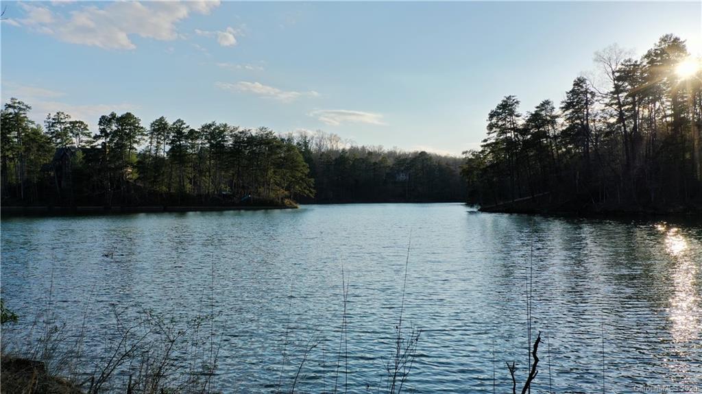 Lot 41 Peninsula Dr Mill Spring, Unit 41 Mill Spring, NC 28756 - Photo 8 of 33 a view of swimming pool and lake view