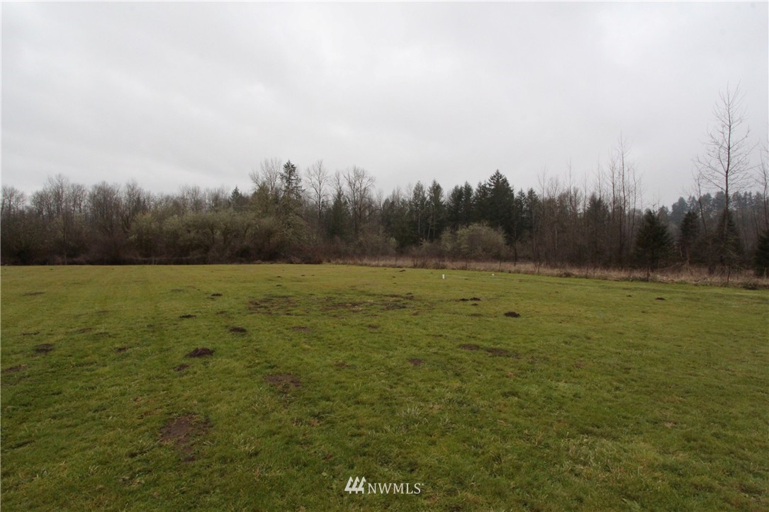 379-12 Collins Road Toledo, WA 98591 - Photo 21 of 22
