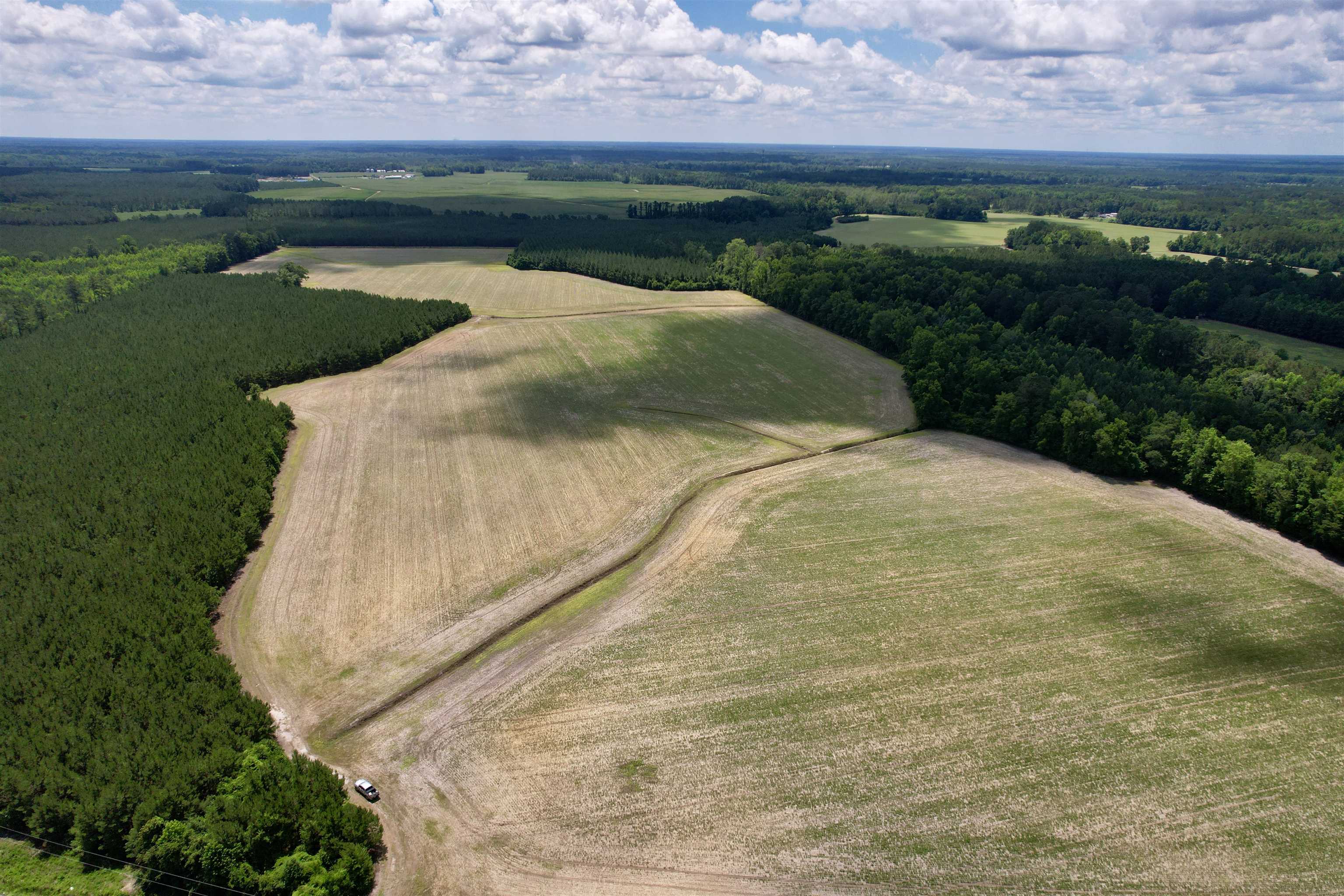 83.03-acres - Birch Creek Road Andrews, SC 29510 - Photo 4 of 25