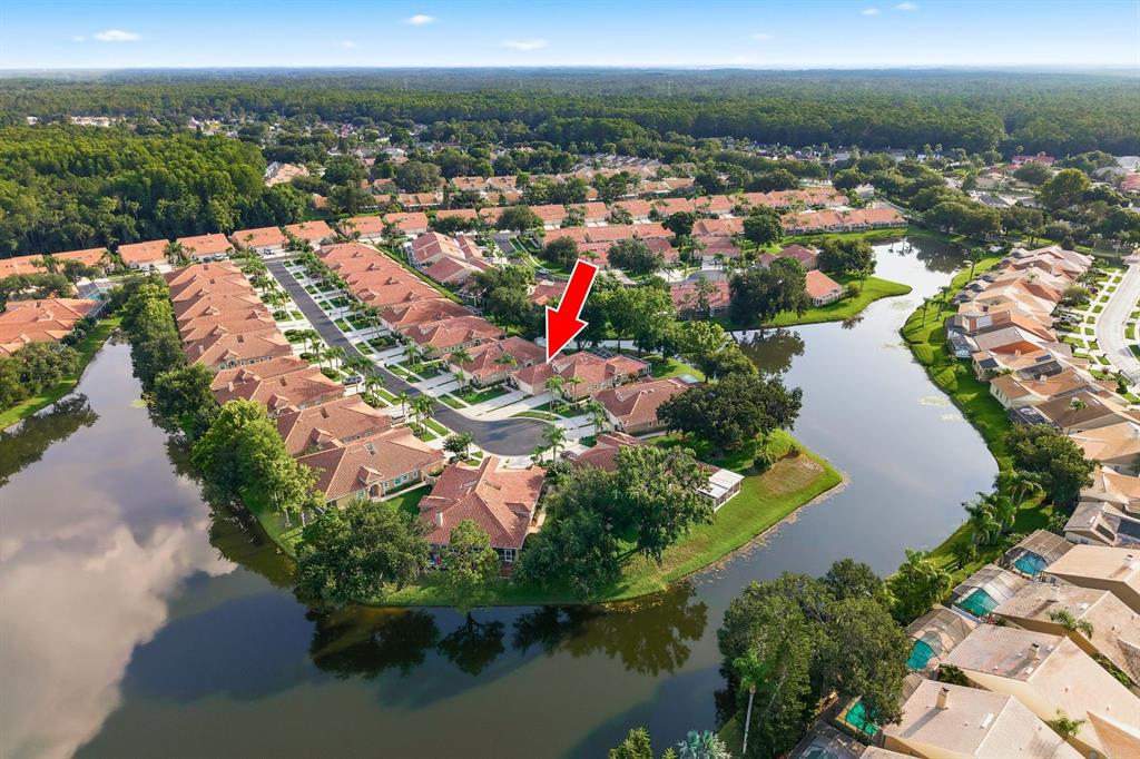 3857 Timber Ridge Court Palm Harbor, FL 34685 - Photo 2 of 56