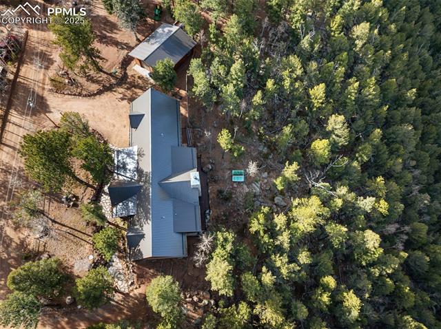 111 Blue Spruce Road Divide, CO 80814 - Photo 44 of 46 View of subject property