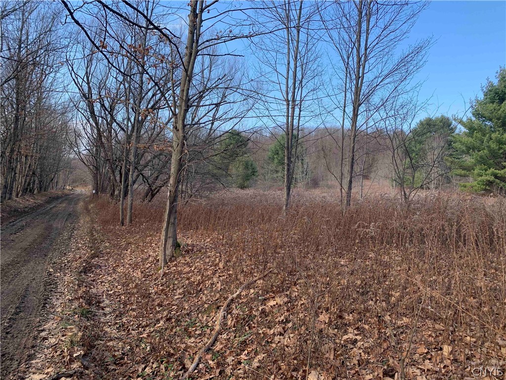 0 Cooper Road Cuba, NY 14727 - Photo 1 of 1