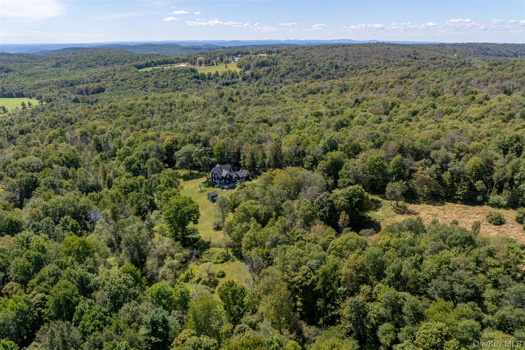 578 Bethlehem Road Callicoon Center, NY 12724 - Photo 36 of 39 a view of a green field with lots of bushes