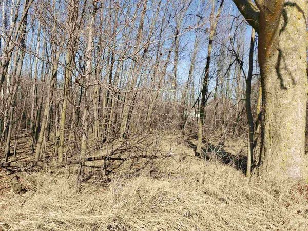 $225,000 | Lot#3 Bialozynski Road, Unit 3, Pulaski, WI 54162
