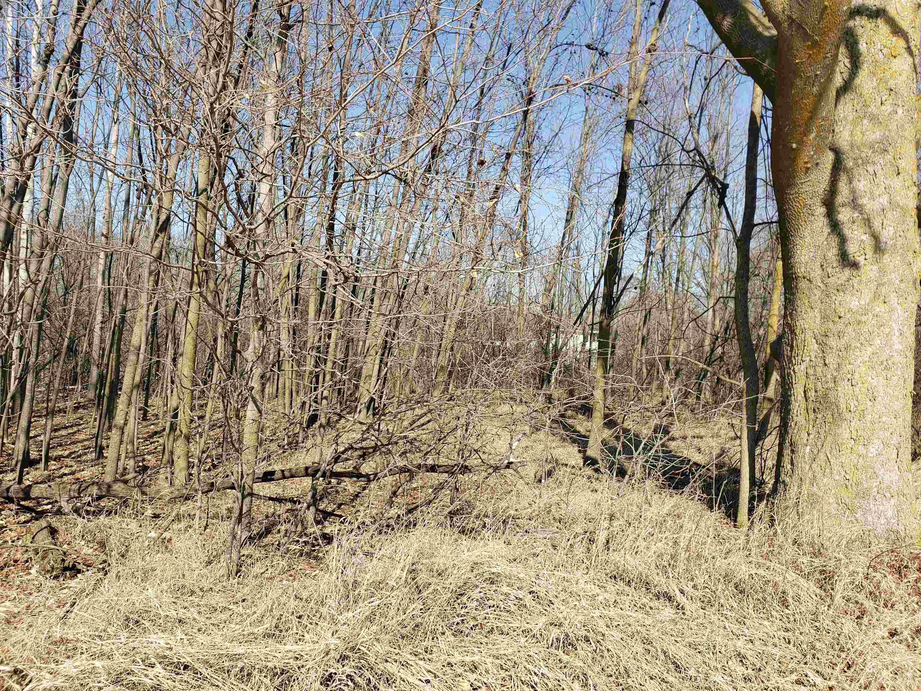 Lot#3 Bialozynski Road, Unit 3 Pulaski, WI 54162 - Photo 11 of 27