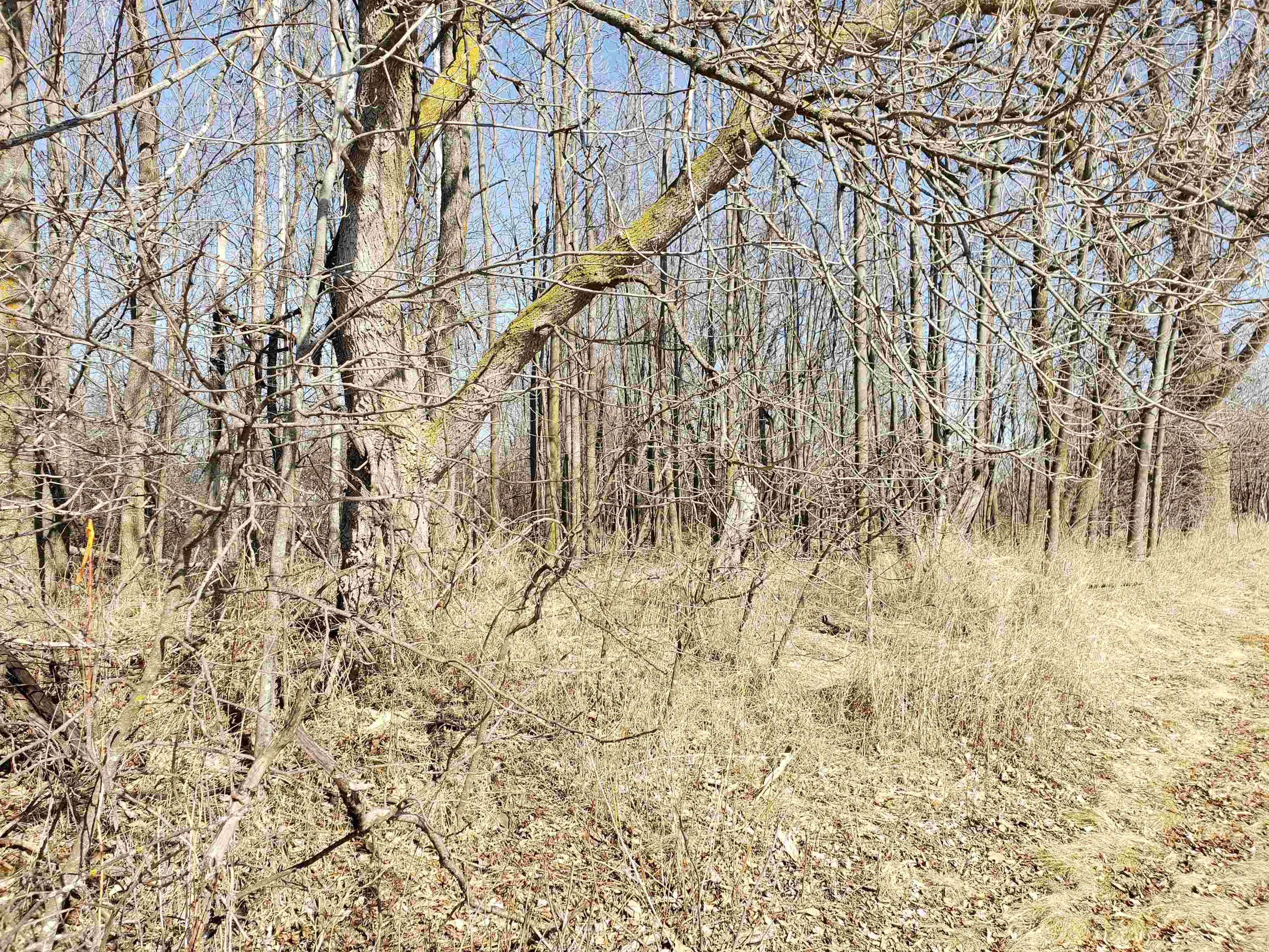 Lot#3 Bialozynski Road, Unit 3 Pulaski, WI 54162 - Photo 12 of 27