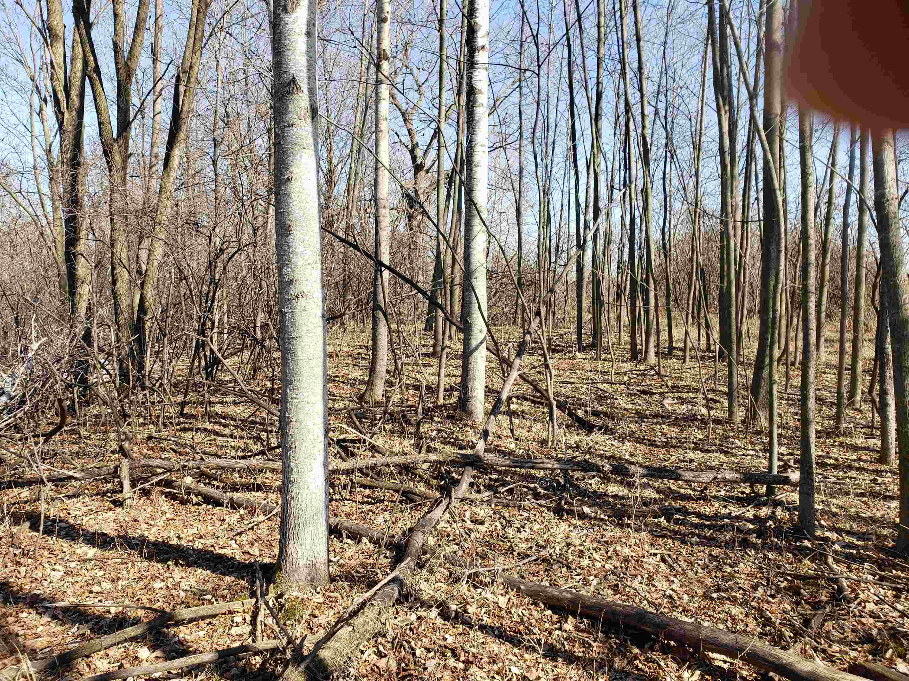 Lot#3 Bialozynski Road, Unit 3 Pulaski, WI 54162 - Photo 13 of 27