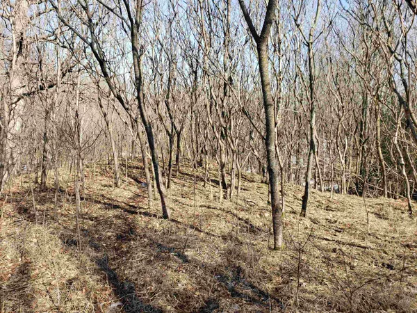 $225,000 | Lot#3 Bialozynski Road, Unit 3, Pulaski, WI 54162
