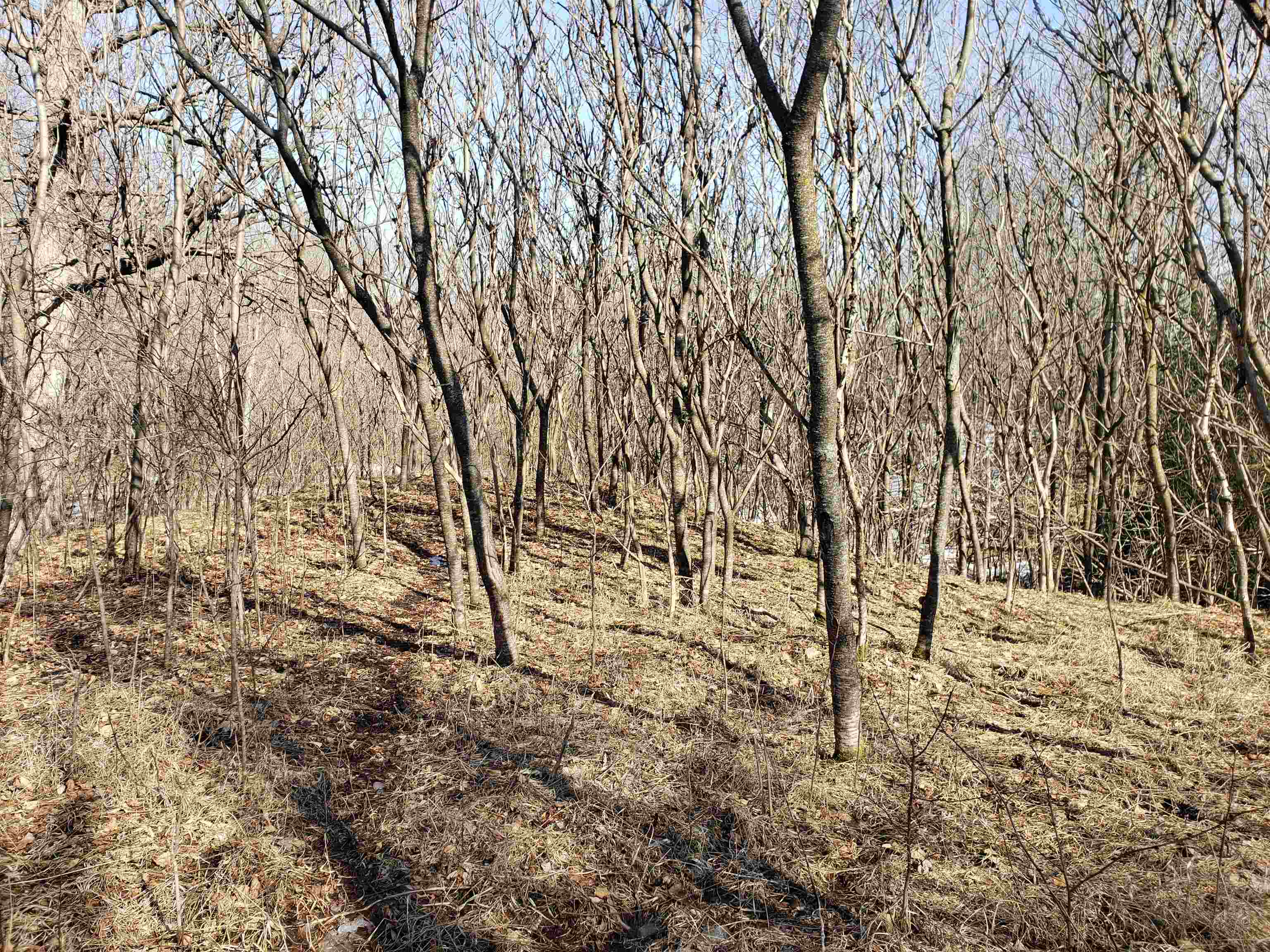 Lot#3 Bialozynski Road, Unit 3 Pulaski, WI 54162 - Photo 14 of 27