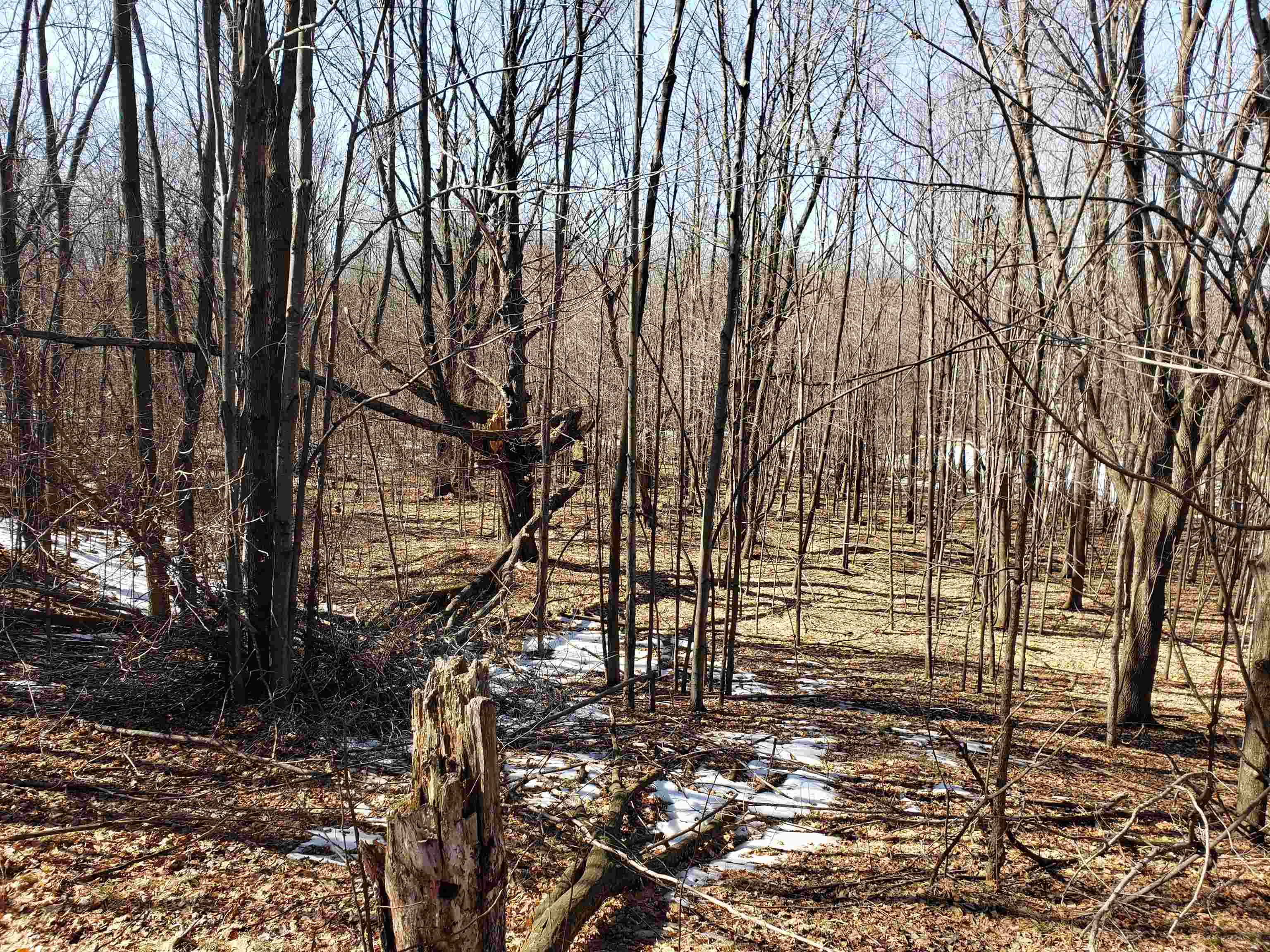 Lot#3 Bialozynski Road, Unit 3 Pulaski, WI 54162 - Photo 15 of 27