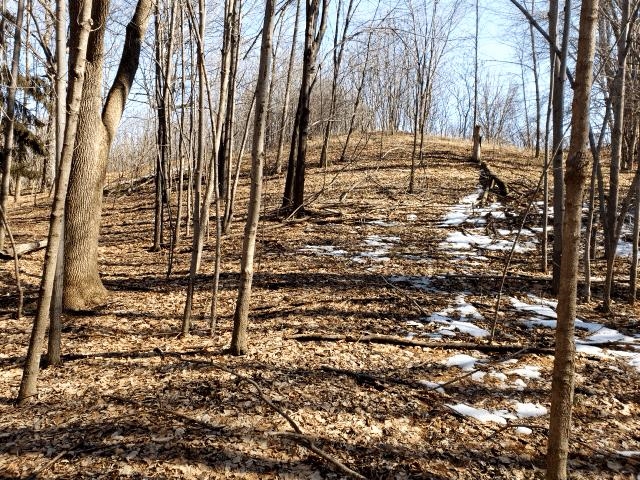 Lot#3 Bialozynski Road, Unit 3 Pulaski, WI 54162 - Photo 16 of 27