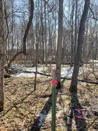 $225,000 | Lot#3 Bialozynski Road, Unit 3, Pulaski, WI 54162