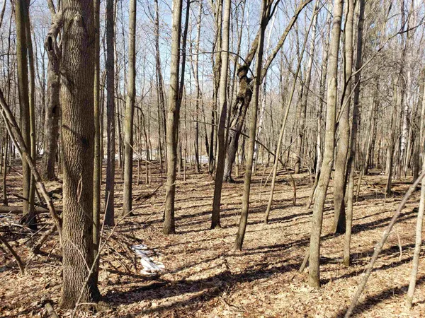 $225,000 | Lot#3 Bialozynski Road, Unit 3, Pulaski, WI 54162