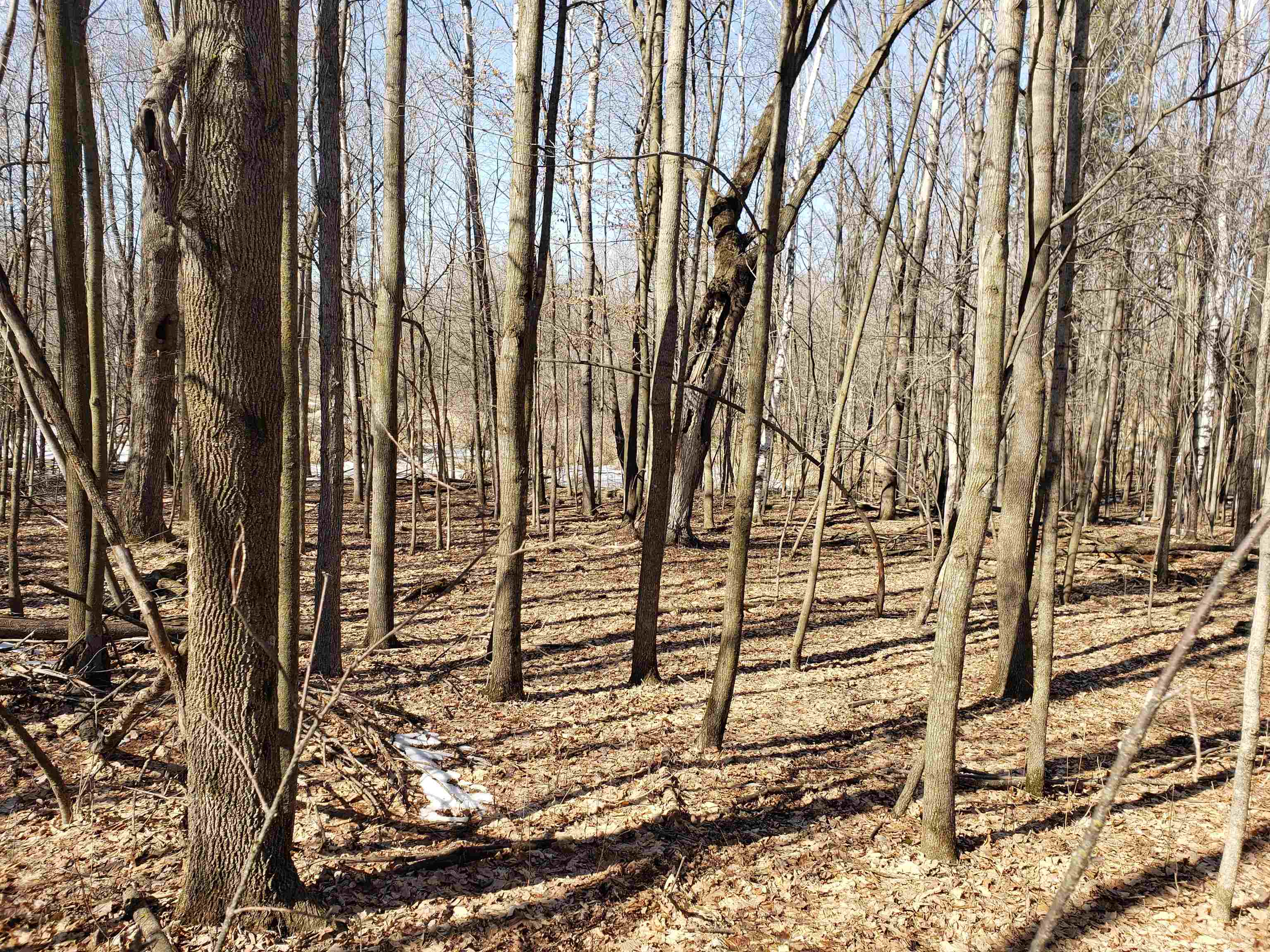 Lot#3 Bialozynski Road, Unit 3 Pulaski, WI 54162 - Photo 18 of 27