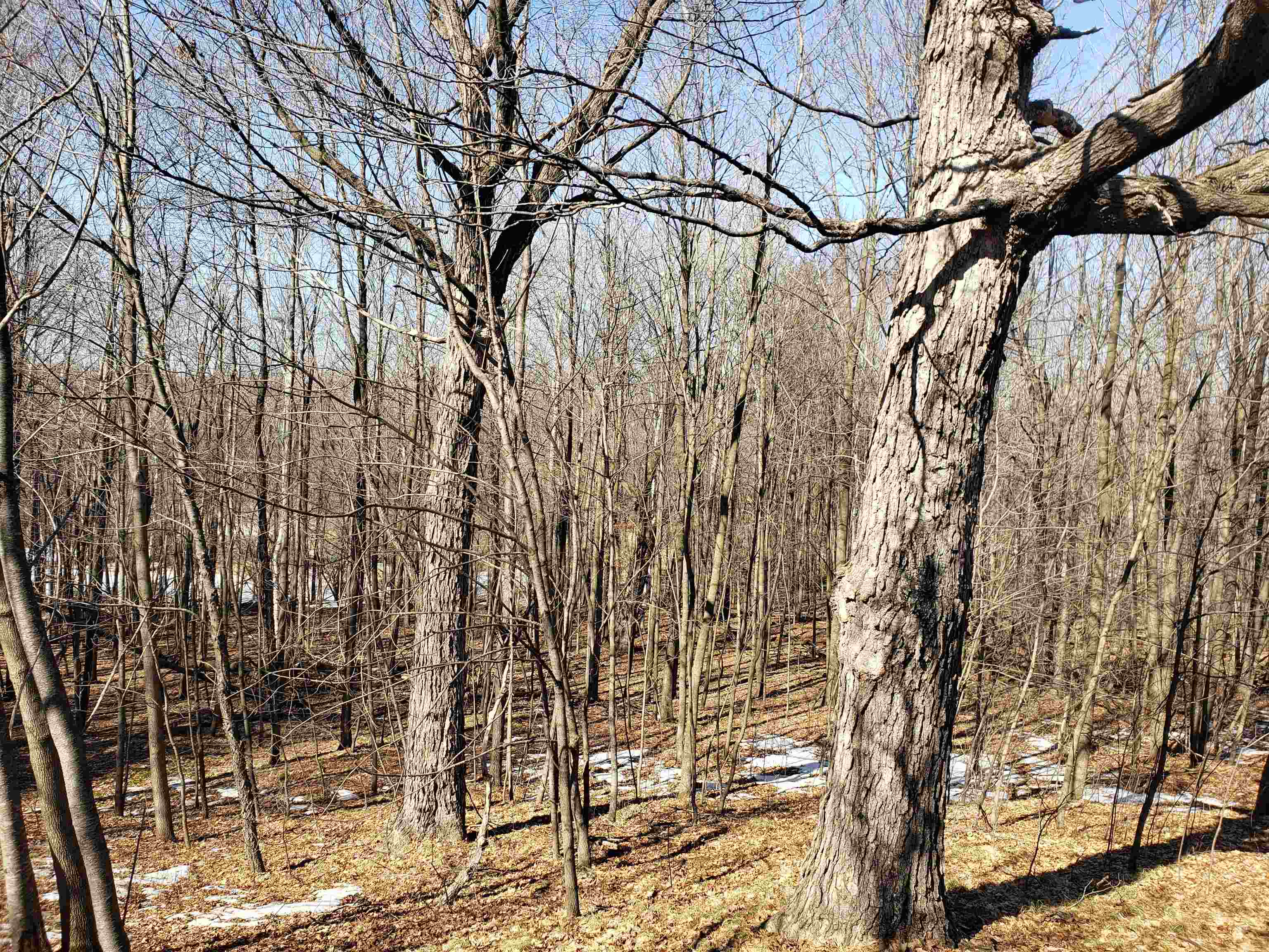 Lot#3 Bialozynski Road, Unit 3 Pulaski, WI 54162 - Photo 19 of 27