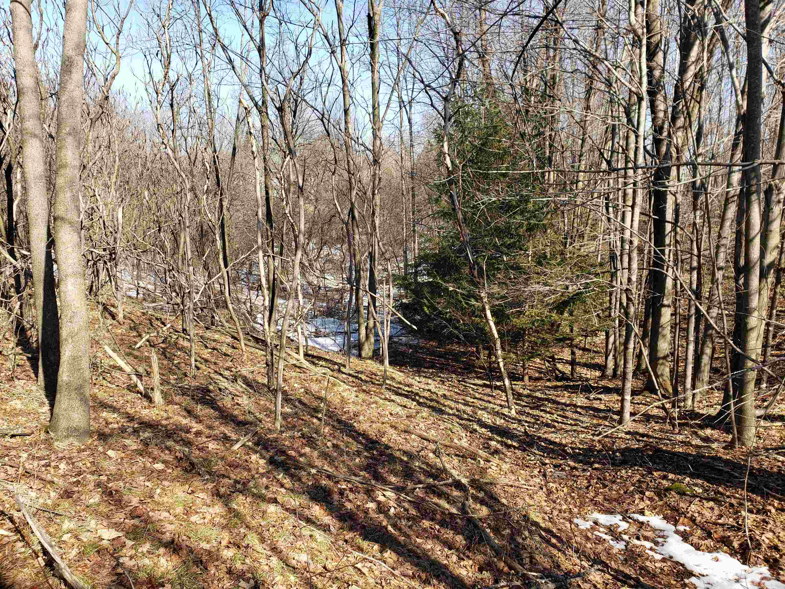 Lot#3 Bialozynski Road, Unit 3 Pulaski, WI 54162 - Photo 20 of 27