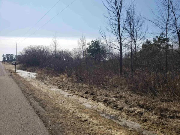$225,000 | Lot#3 Bialozynski Road, Unit 3, Pulaski, WI 54162