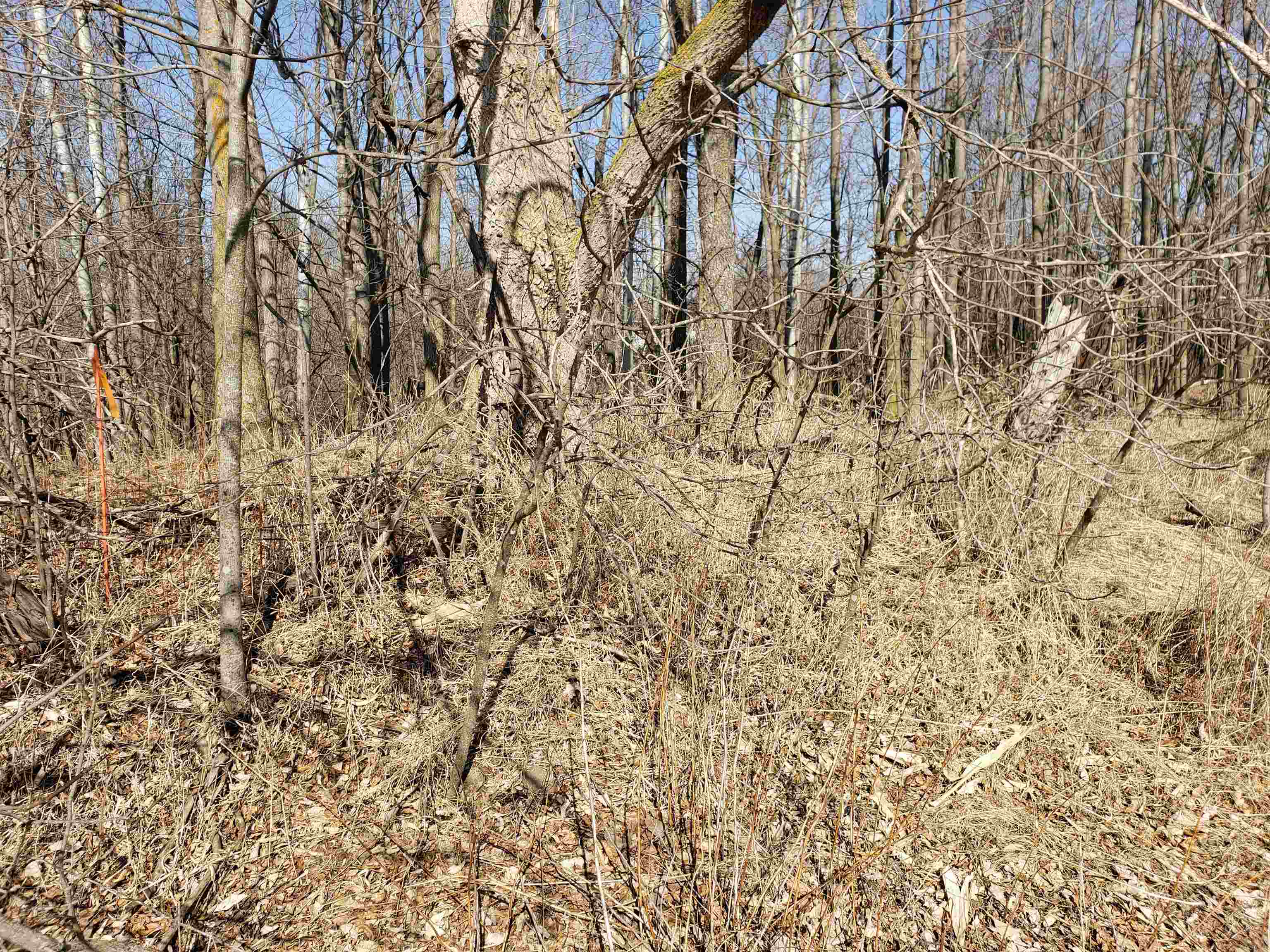 Lot#3 Bialozynski Road, Unit 3 Pulaski, WI 54162 - Photo 21 of 27