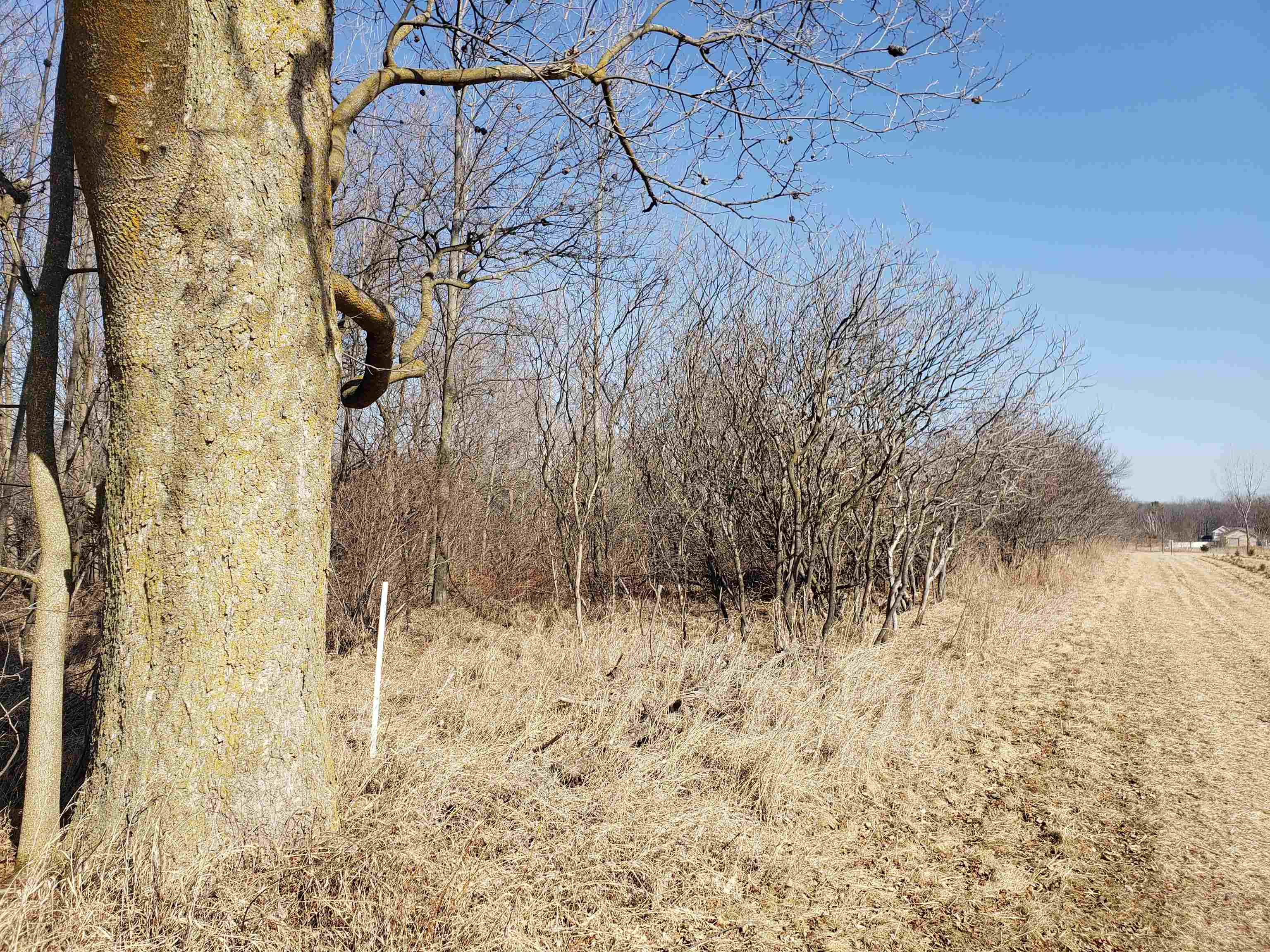 Lot#3 Bialozynski Road, Unit 3 Pulaski, WI 54162 - Photo 22 of 27