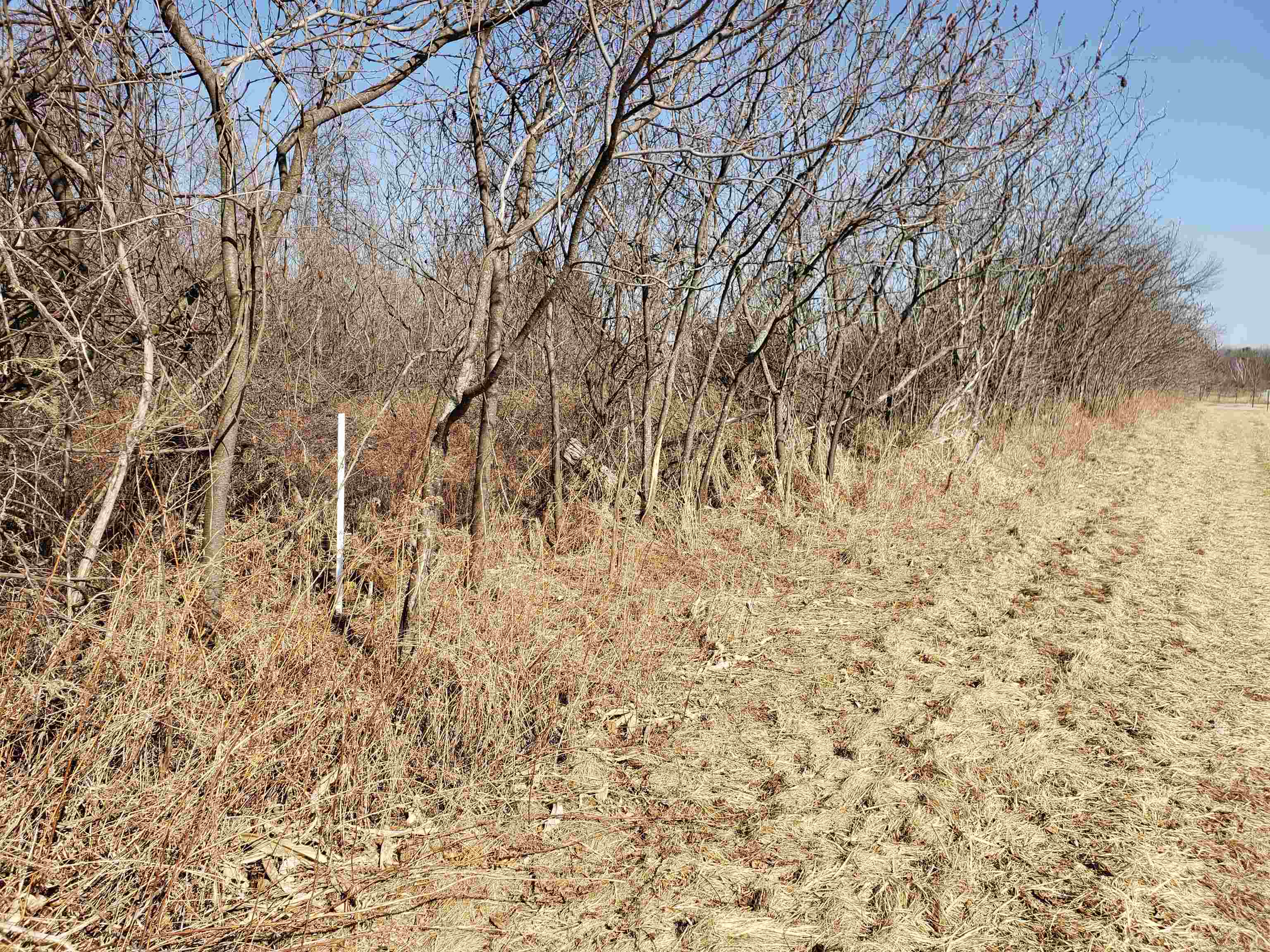 Lot#3 Bialozynski Road, Unit 3 Pulaski, WI 54162 - Photo 23 of 27