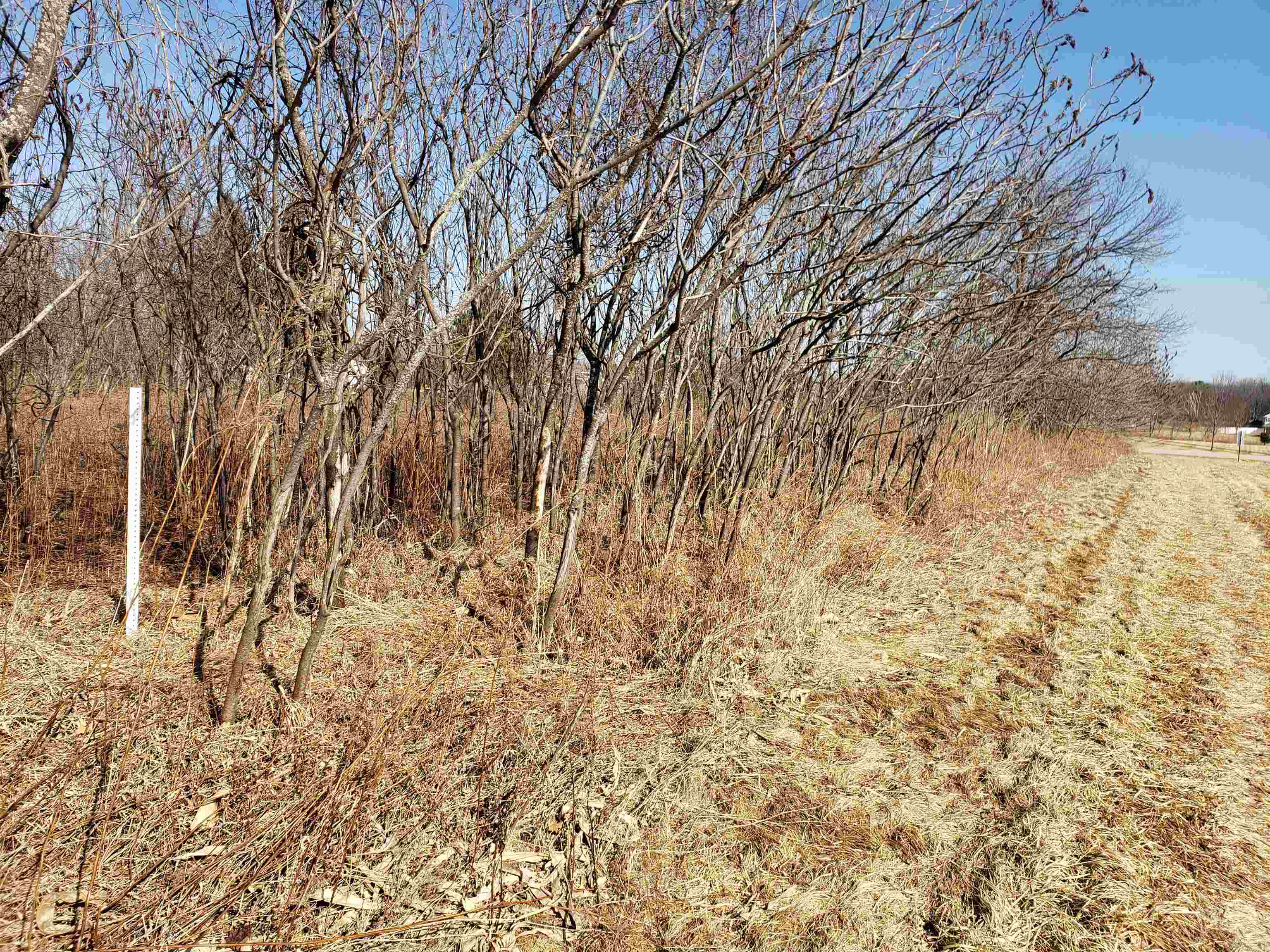 Lot#3 Bialozynski Road, Unit 3 Pulaski, WI 54162 - Photo 24 of 27