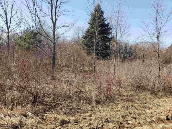 $225,000 | Lot#3 Bialozynski Road, Unit 3, Pulaski, WI 54162