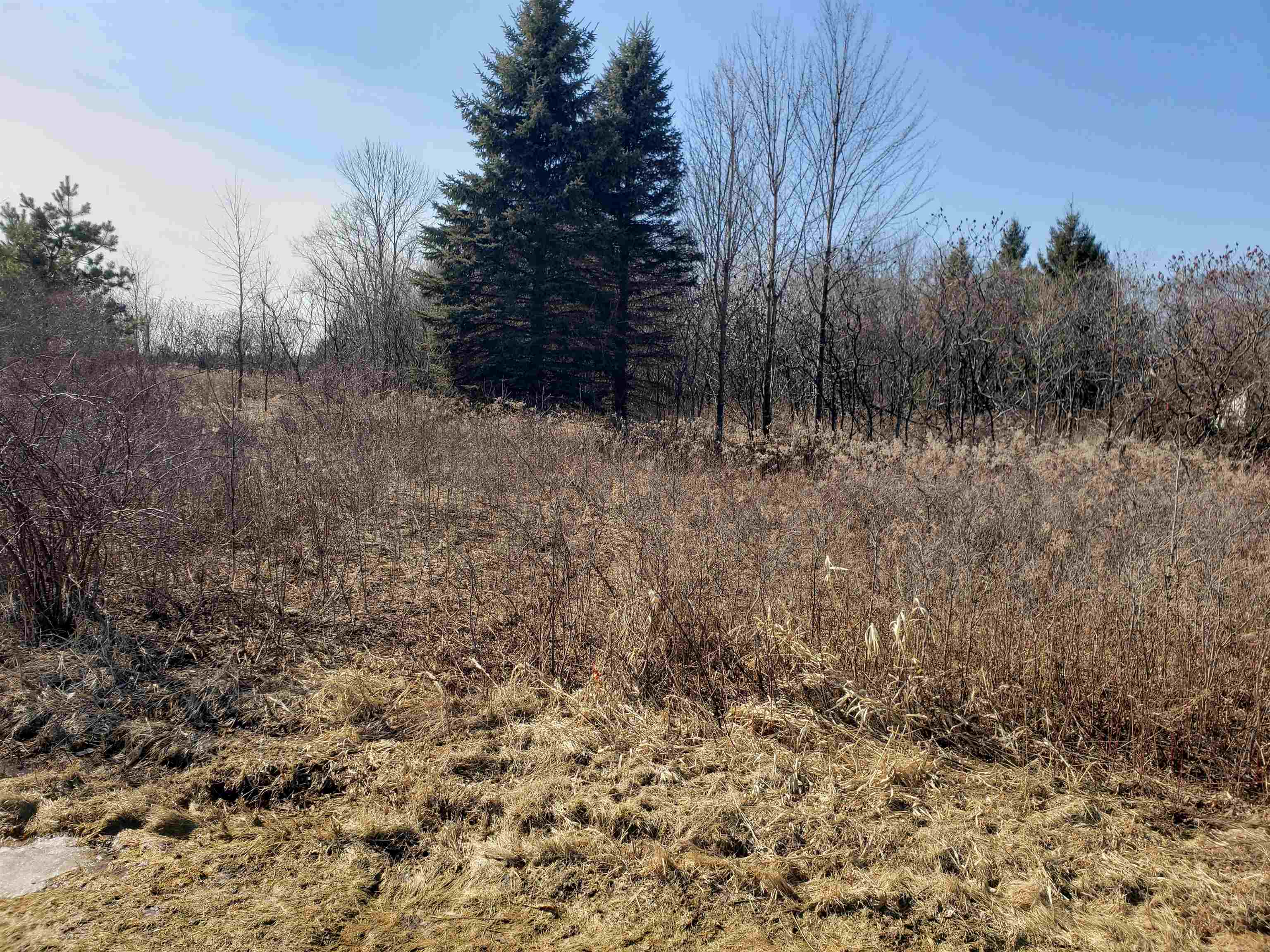 Lot#3 Bialozynski Road, Unit 3 Pulaski, WI 54162 - Photo 26 of 27