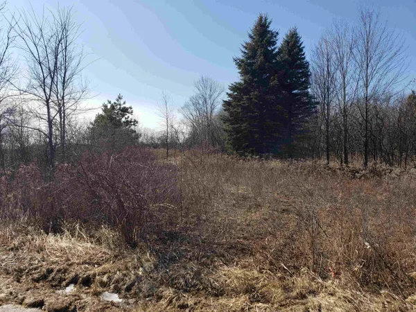 $225,000 | Lot#3 Bialozynski Road, Unit 3, Pulaski, WI 54162