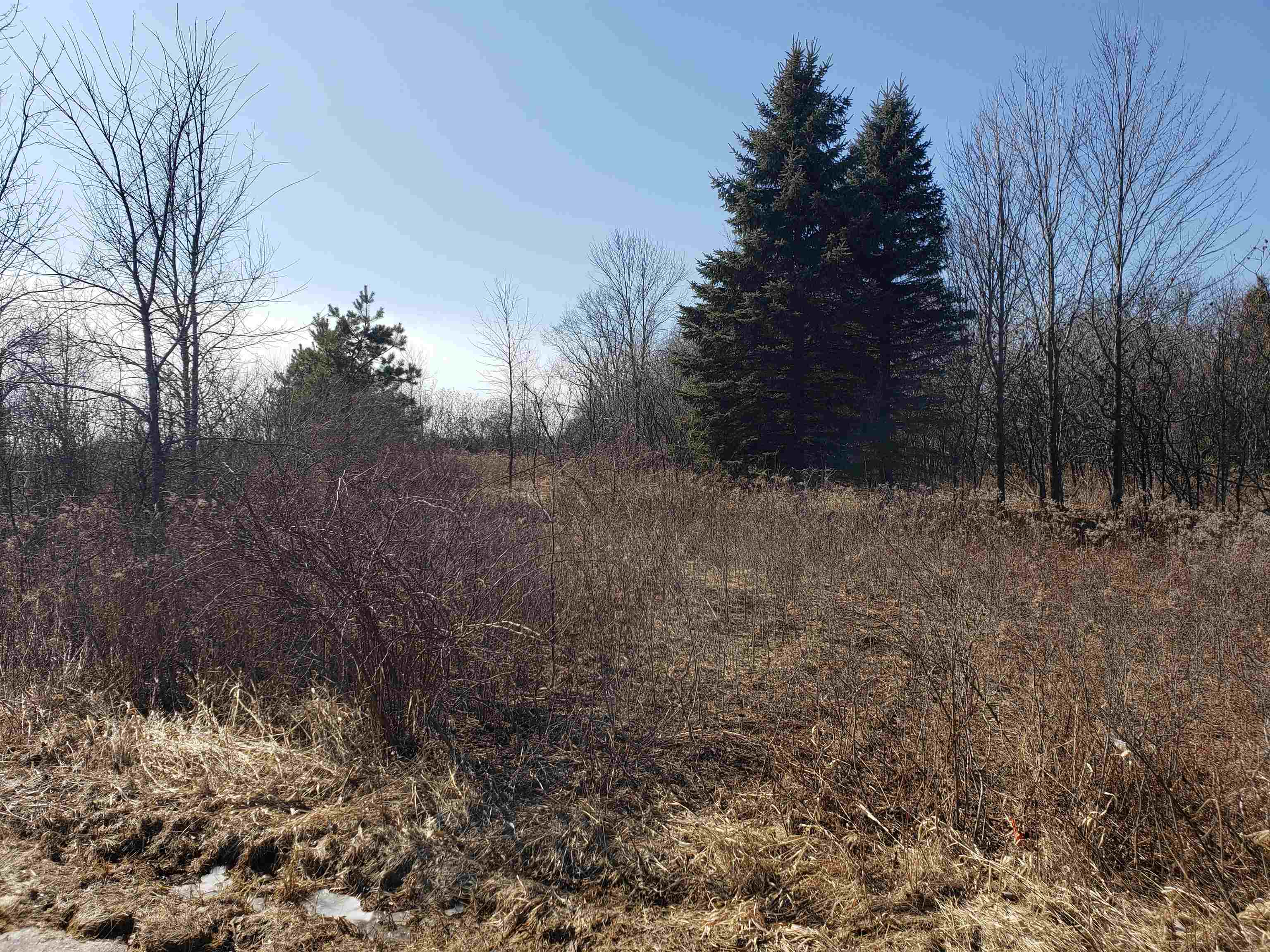 Lot#3 Bialozynski Road, Unit 3 Pulaski, WI 54162 - Photo 3 of 27
