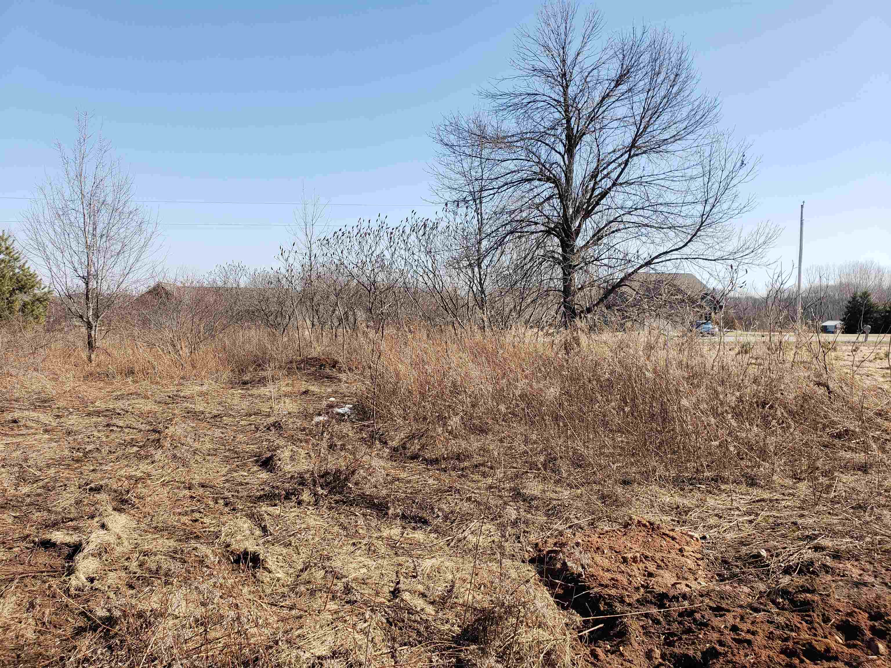 Lot#3 Bialozynski Road, Unit 3 Pulaski, WI 54162 - Photo 5 of 27