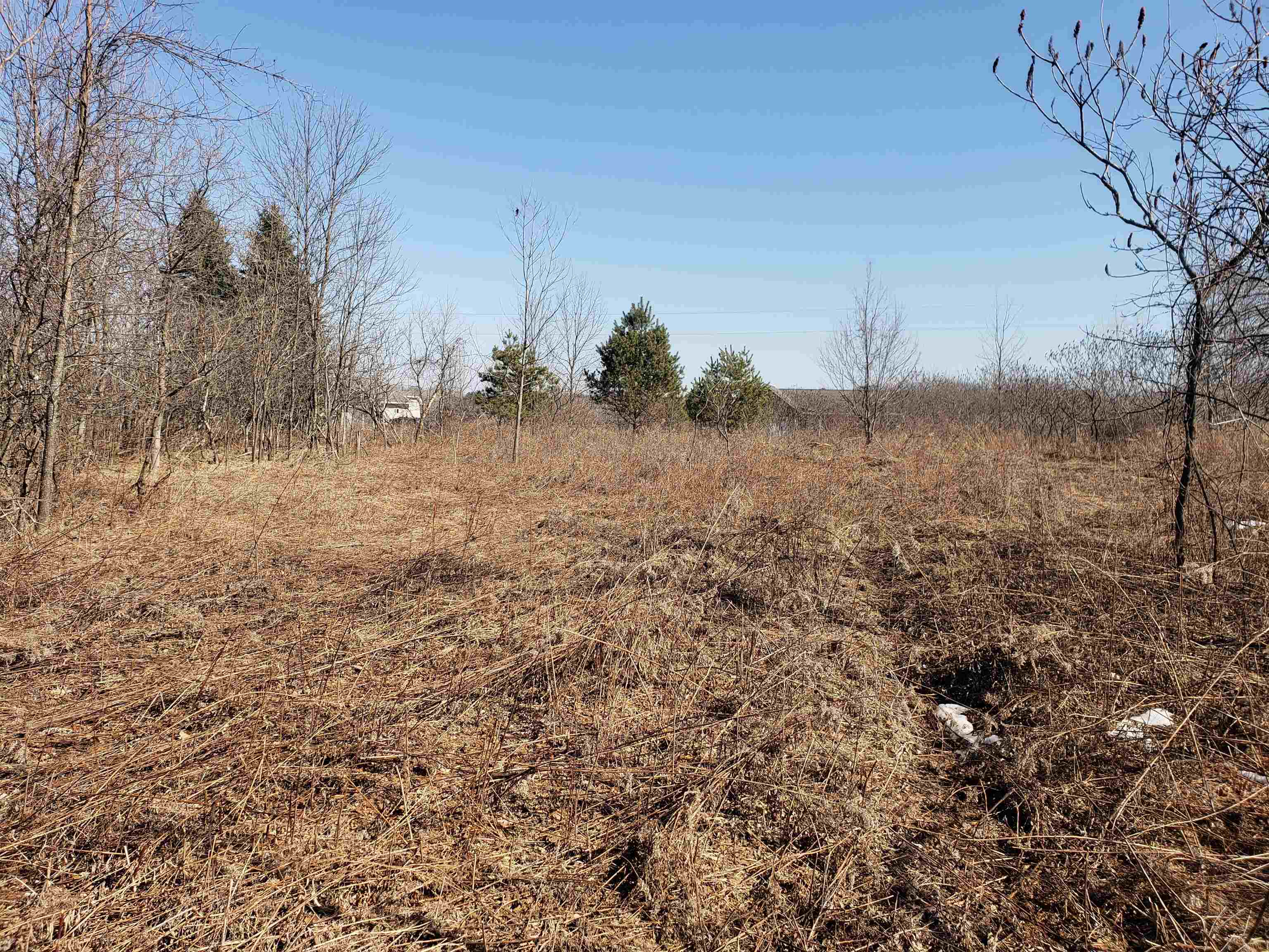 Lot#3 Bialozynski Road, Unit 3 Pulaski, WI 54162 - Photo 7 of 27