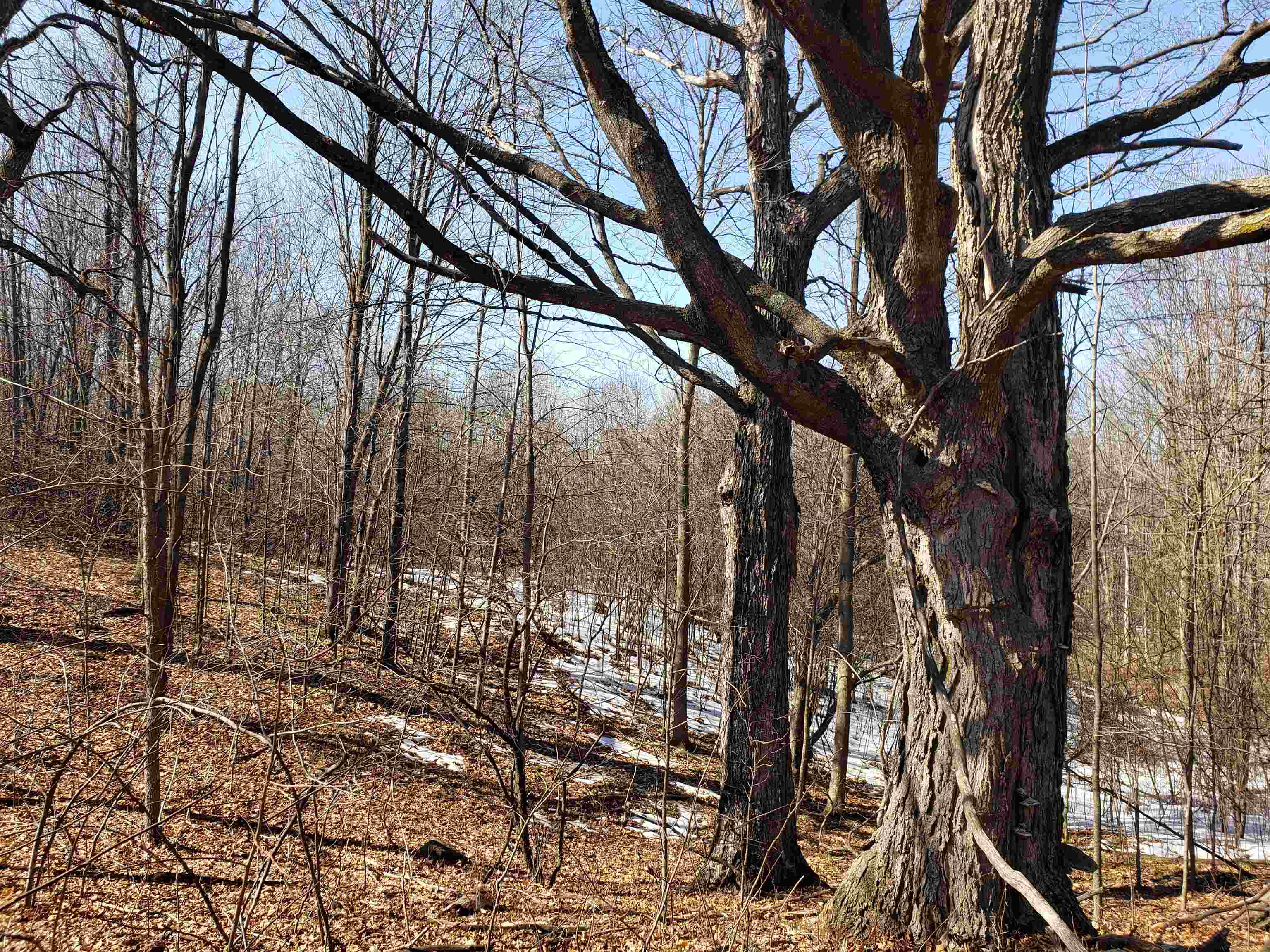 Lot#3 Bialozynski Road, Unit 3 Pulaski, WI 54162 - Photo 8 of 27