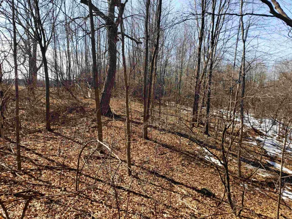 $225,000 | Lot#3 Bialozynski Road, Unit 3, Pulaski, WI 54162