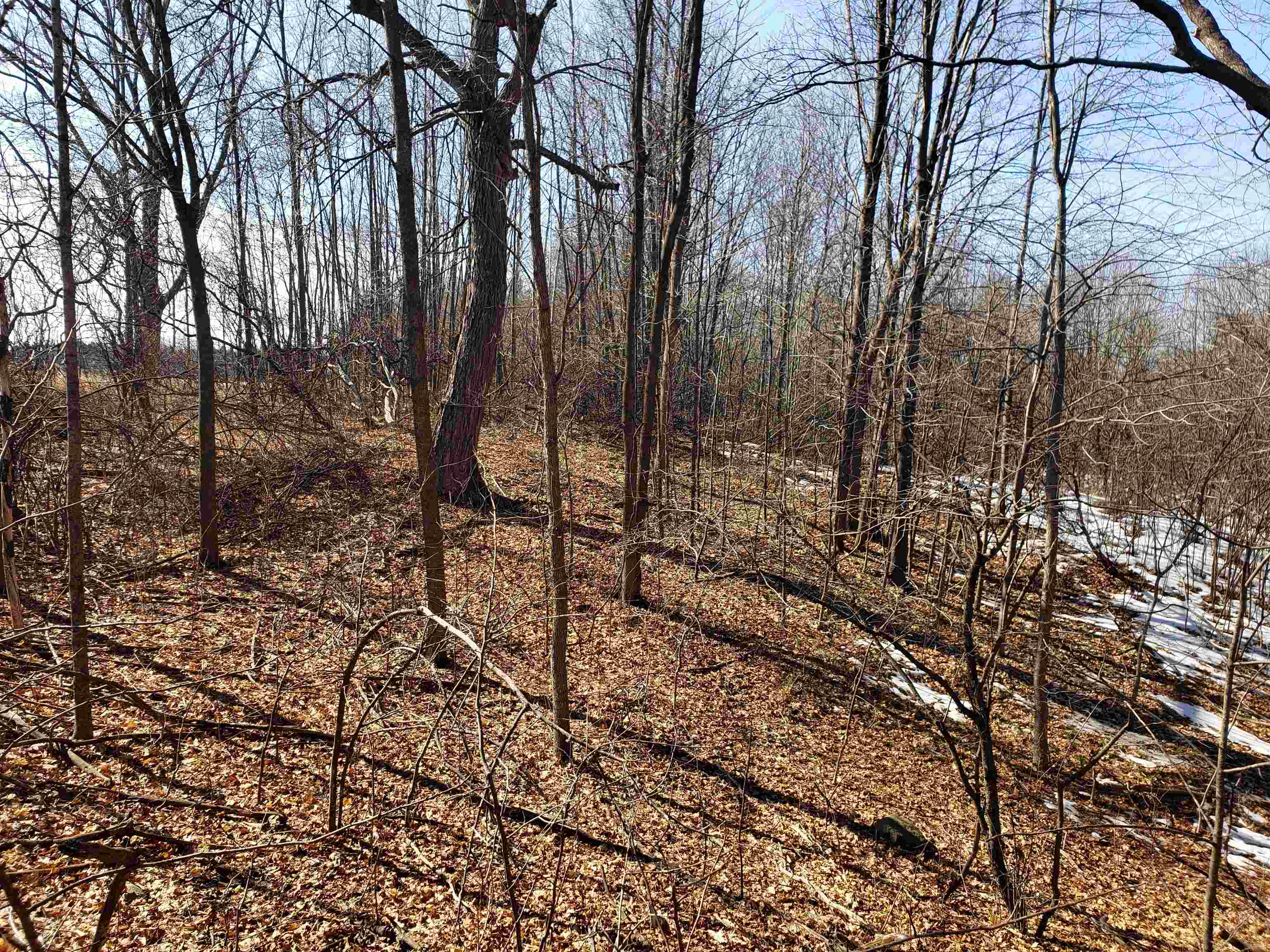 Lot#3 Bialozynski Road, Unit 3 Pulaski, WI 54162 - Photo 9 of 27