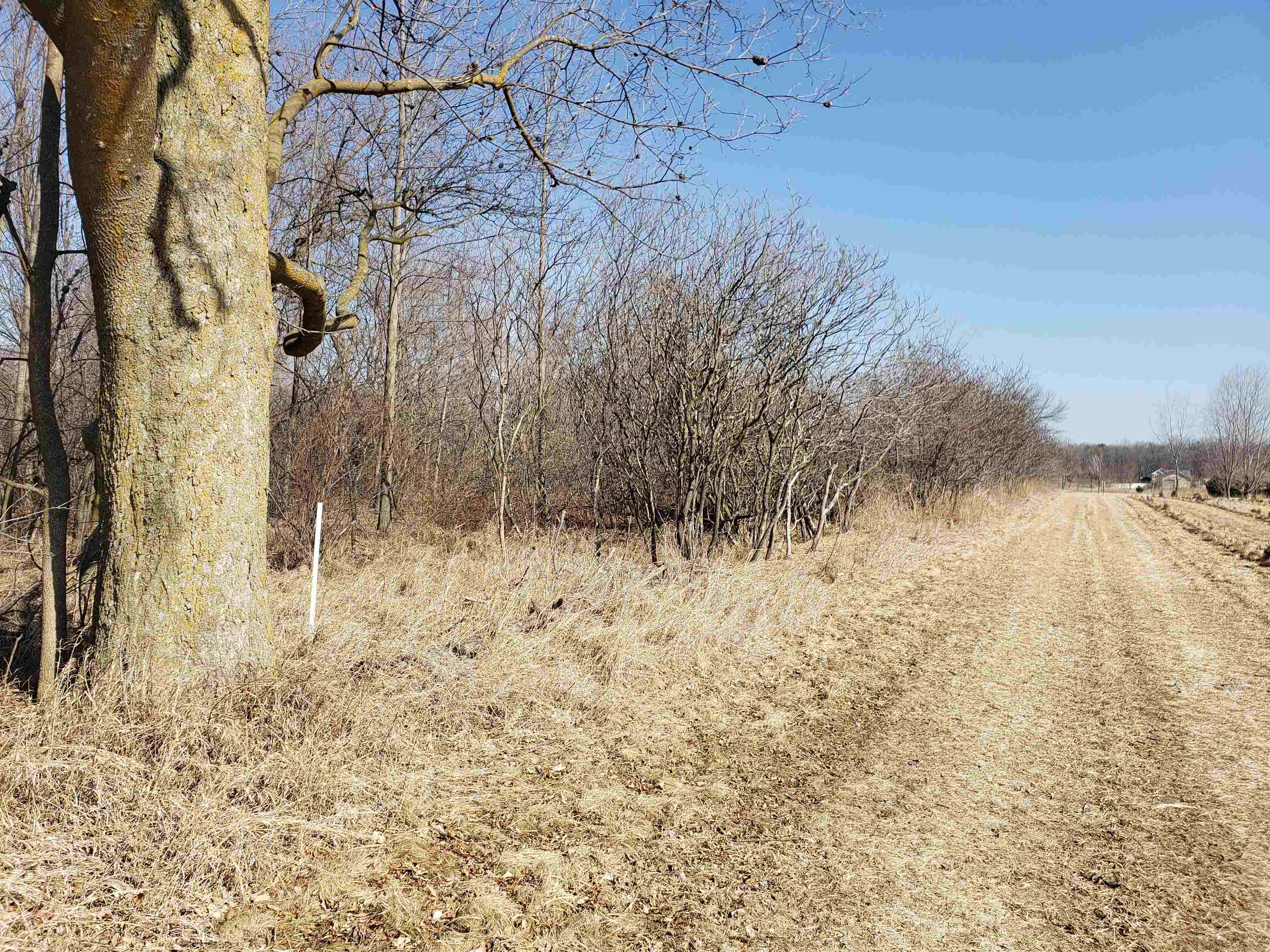 Lot#3 Bialozynski Road, Unit 3 Pulaski, WI 54162 - Photo 10 of 27