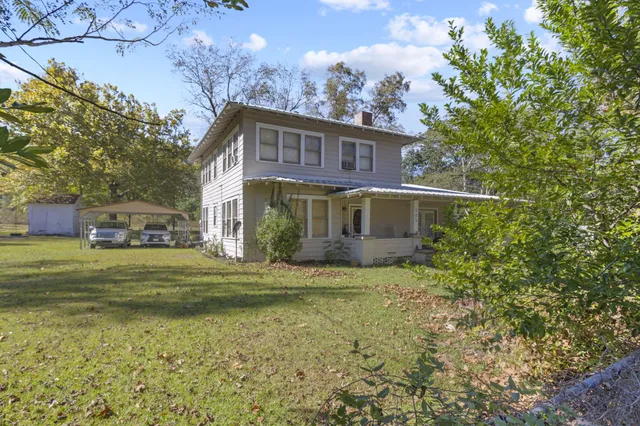 a view of a yard with plants and trees
