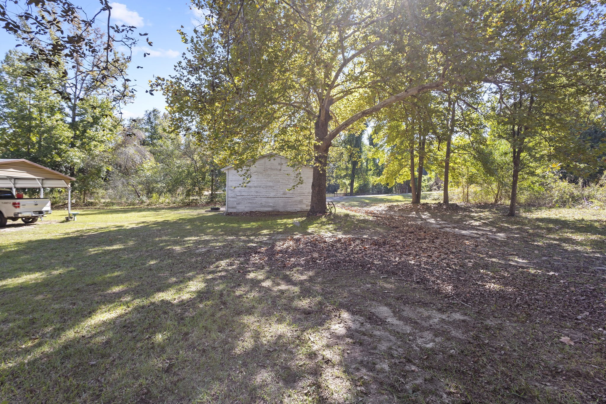 105 Mann Street Colmesneil, TX 75938 - Photo 35 of 40 a view of dirt yard with a large tree