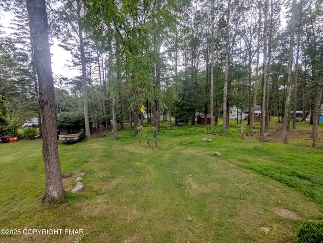 a view of a park with a tree