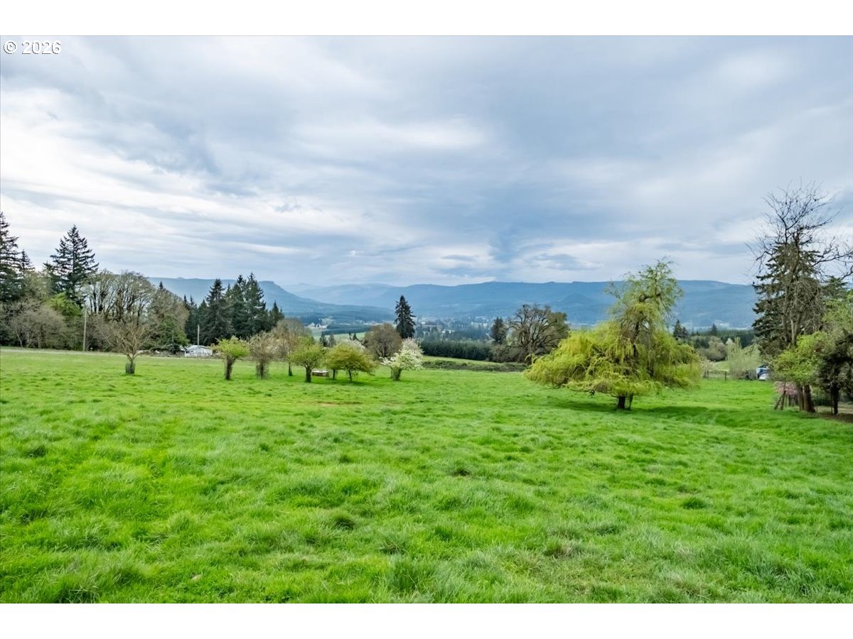 26520 Fern Ridge Road Sweet Home, OR 97386 - Photo 4 of 48