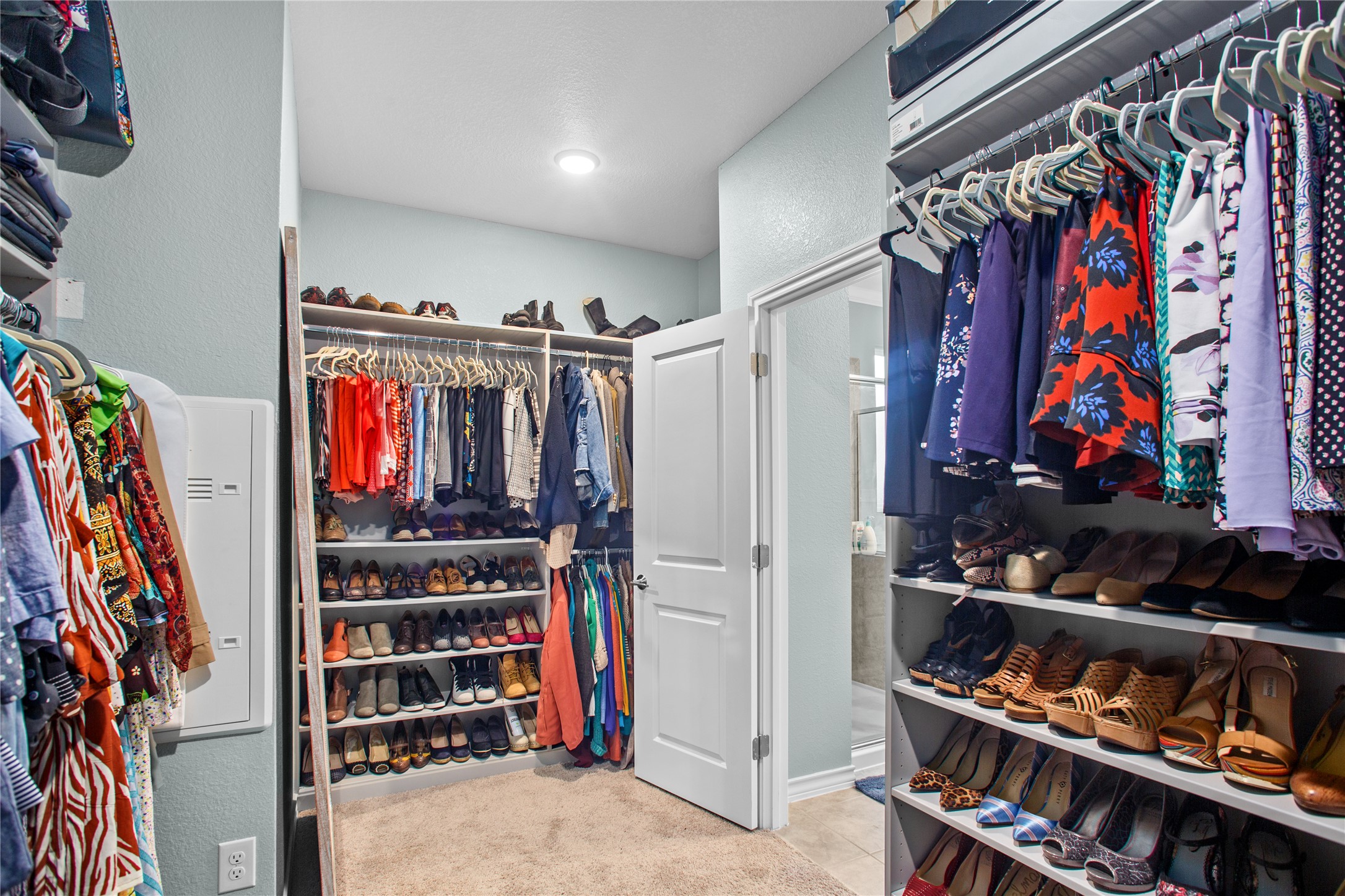 109 Adeline Road Hutto, TX 78634 - Photo 23 of 40 Walk in closet with light carpet