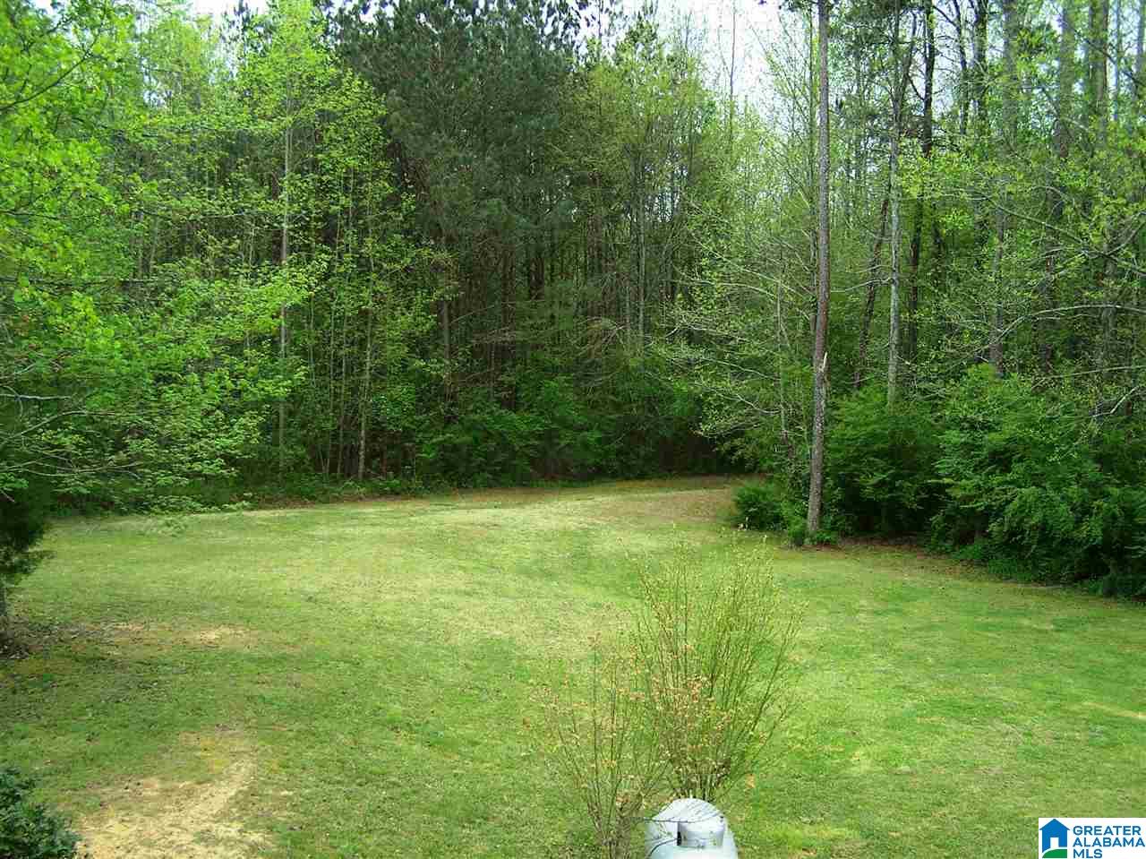 16 Daileys Chapel Road Oneonta, AL 35121 - Photo 12 of 50