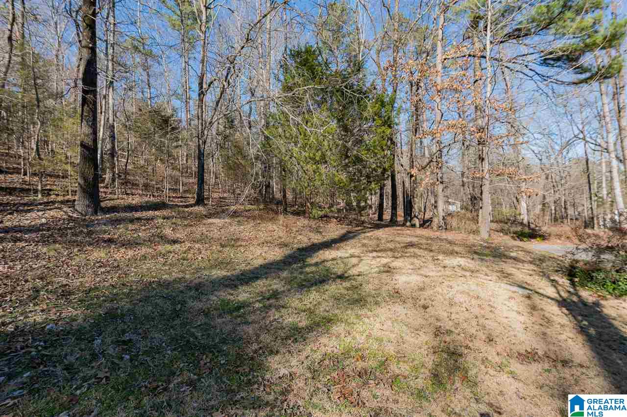 251 Foster Road Southwest Leeds, AL 35094 - Photo 11 of 47