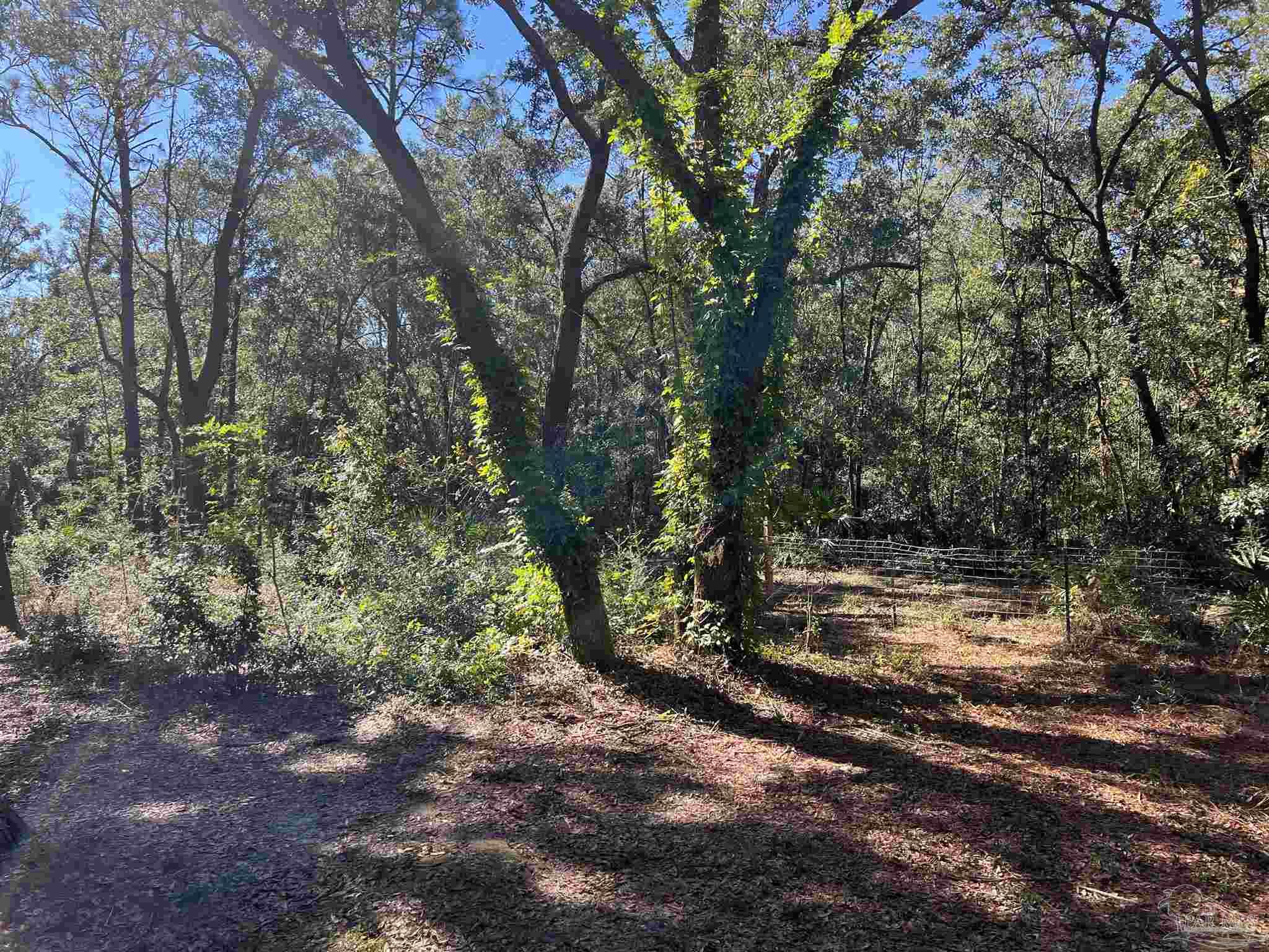 7788 Rube Pace Road Milton, FL 32583 - Photo 11 of 23
