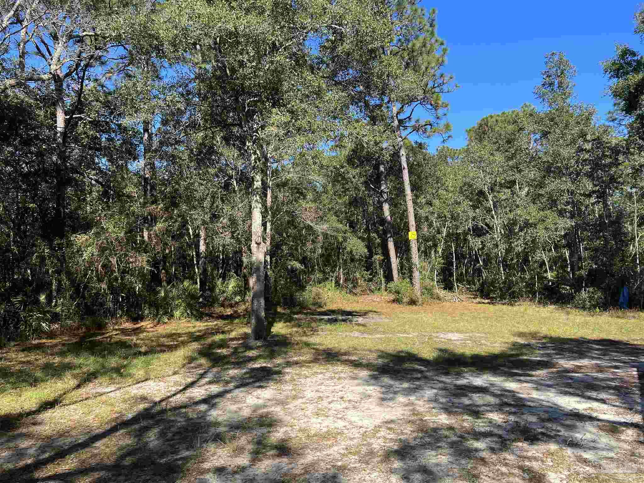 7788 Rube Pace Road Milton, FL 32583 - Photo 12 of 23