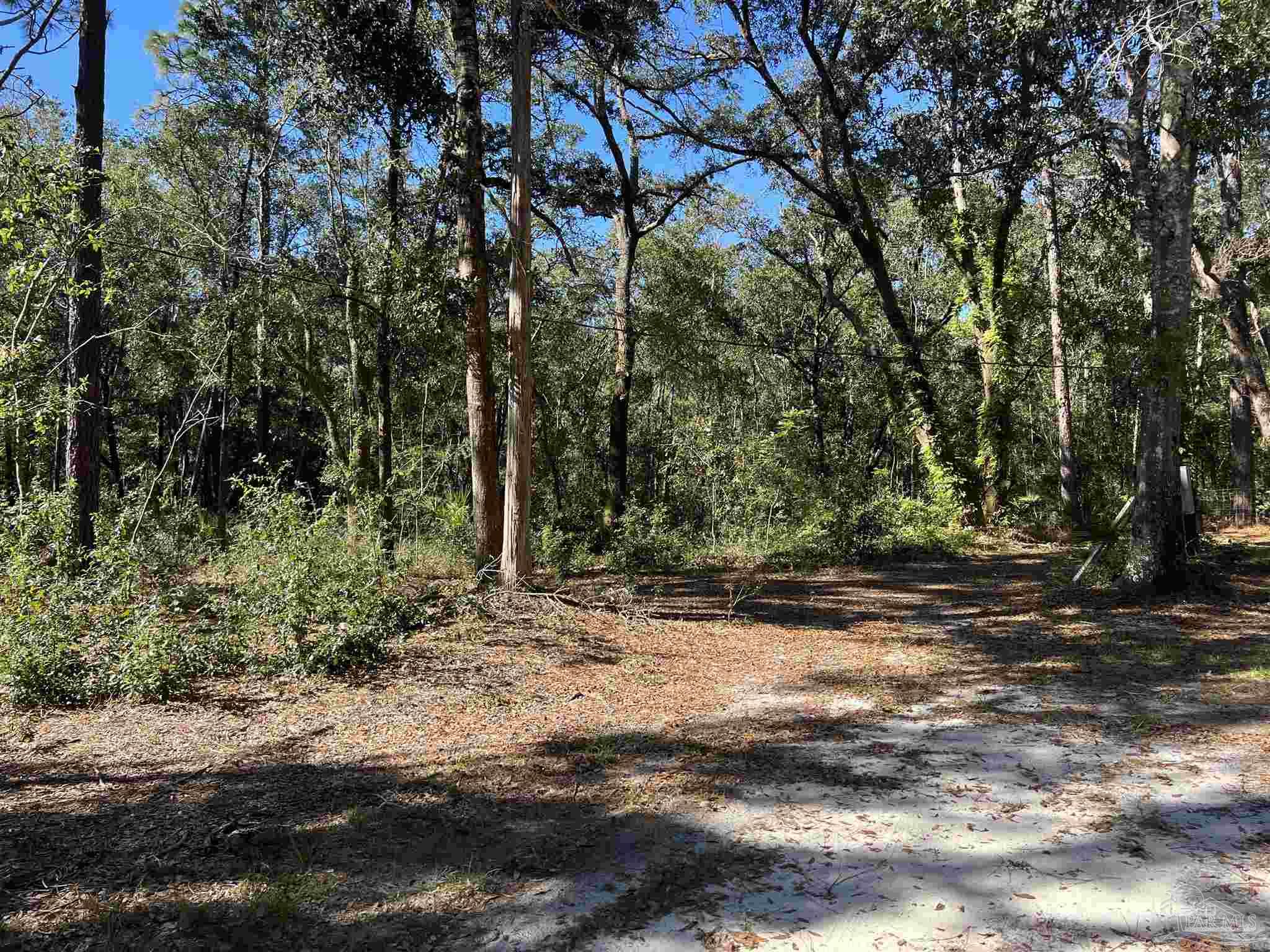 7788 Rube Pace Road Milton, FL 32583 - Photo 19 of 23
