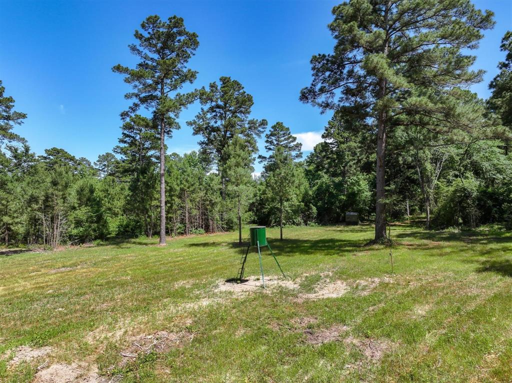 8079 Rd Ben Wheeler Tx 75754 Road Ben Wheeler, TX 75754 - Photo 33 of 37 a view of a park with a tree