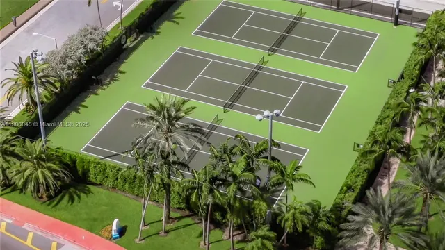 a close up of a plant in a garden