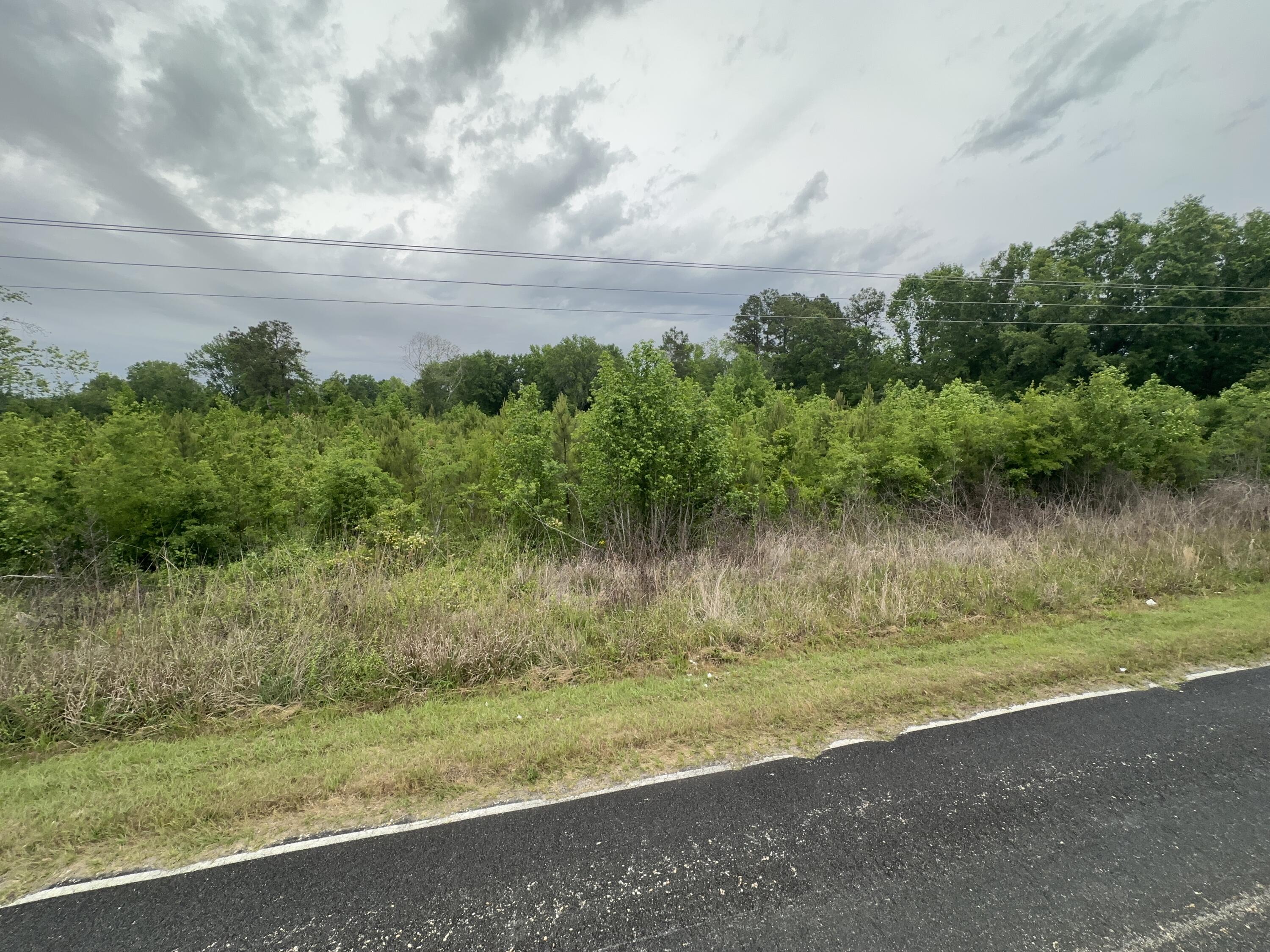 Tbd Chewning Road Pinewood, SC 29125 - Photo 2 of 3 IMG_9945